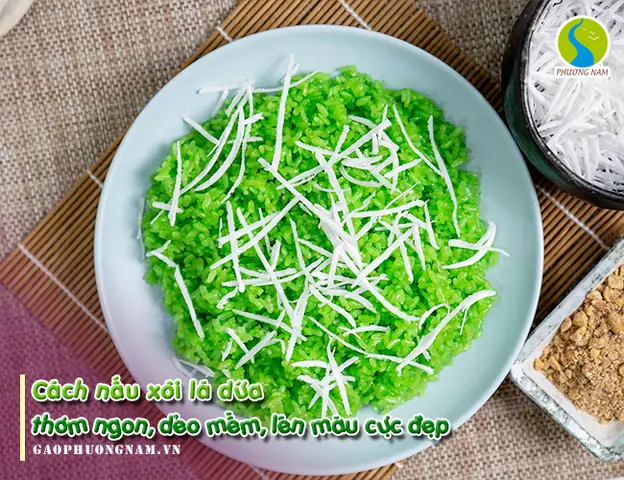 Bí Quyết Làm Xôi Lá Dứa Màu Xanh Mượt, Đẹp "chuẩn Không Cần Chỉnh" Năm 2026: Từ Chọn Lá, Ép Nước Đến Cách Xào, Hấp Hoàn Hảo
