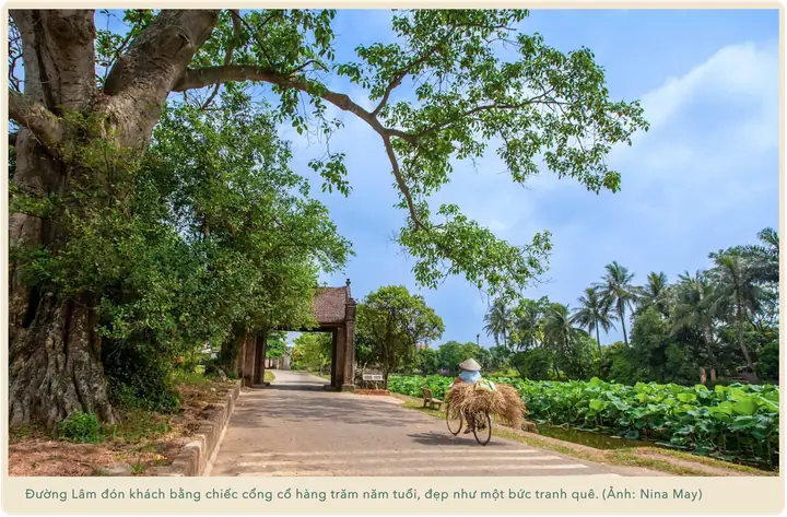 Làng Đường Lâm: Dấu Ấn Hai Triều Vương Và Hồn Cốt Văn Hóa Việt Năm 2026 Làng Đường Lâm: Dấu Ấn Hai Triều Vương Và Hồn Cốt Văn Hóa Việt Năm 2026