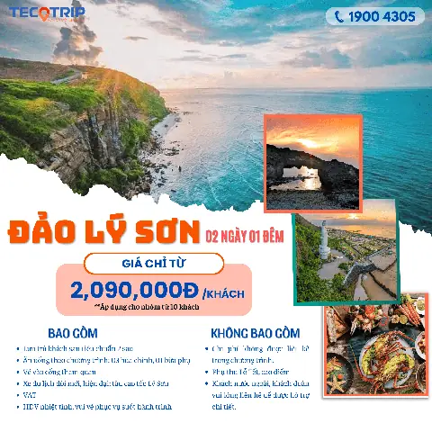 Lịch Trình Du Lịch Đảo Lý Sơn 2026: Chi Tiết Từ A-Z, Cẩm Nang "sống Ảo" Cực Đầy Đủ Cho Hành Trình 3N2Đ Hoặc 2N1Đ