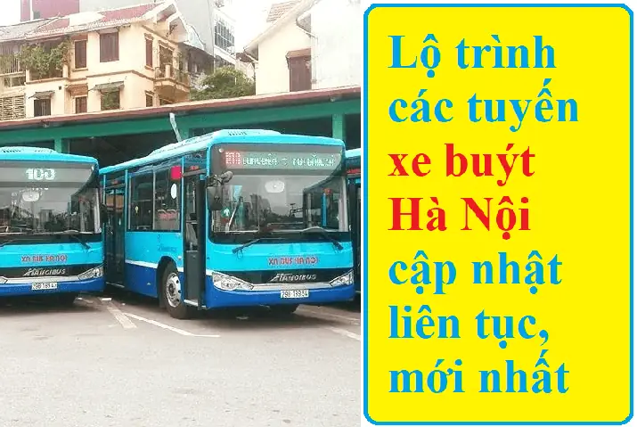 Lộ Trình Xe Buýt 08 Hà Nội Mới Nhất 2026: Chi Tiết Tuyến Đường, Lịch Chạy, Giá Vé & Hướng Dẫn Bắt Xe Dễ Dàng