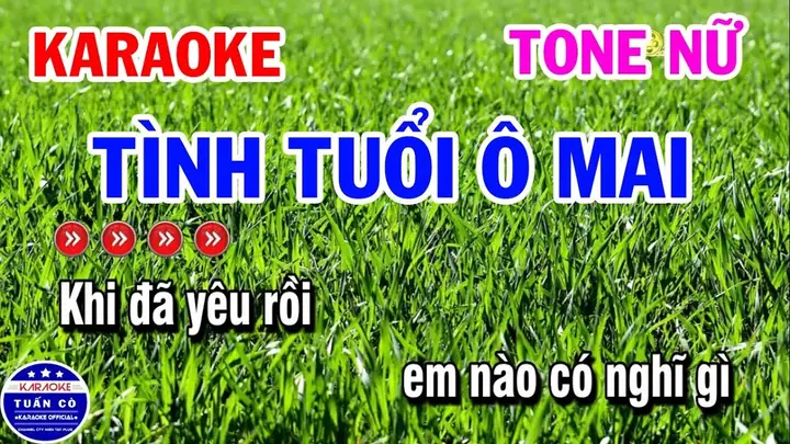Lời Bài Hát Tình Tuổi Ô Mai: Melodie Nostalgia Và Những Chuyện Tình "chua Ngọt" Của Thời Hoa Lúa