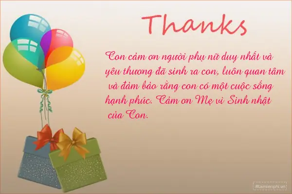 Lời Cảm Ơn Cha Mẹ Trong Ngày Sinh Nhật: Bộ Sưu Tập Những Chia Sẻ Chạm Lòng, Sâu Sắc Nhất Năm 2026