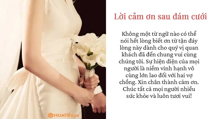 Lời Cảm Ơn Sau Khi Nhận Quà: Cách Viết Chân Thành, Lịch Sự Và Đáng Nhớ