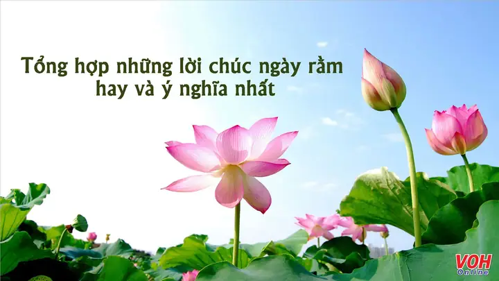 Lời Chúc Ngày Rằm Tháng Giêng 2026: Tổng Hợp Những Câu Chúc Hay, Ý Nghĩa, Gửi Tặng Gia Đình, Bạn Bè, Đối Tác