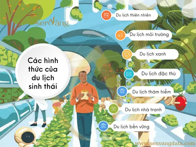 Lợi Ích Của Du Lịch Sinh Thái: Động Lực Xanh Cho Phát Triển Bền Vững Năm 2026 Và Tương Lai