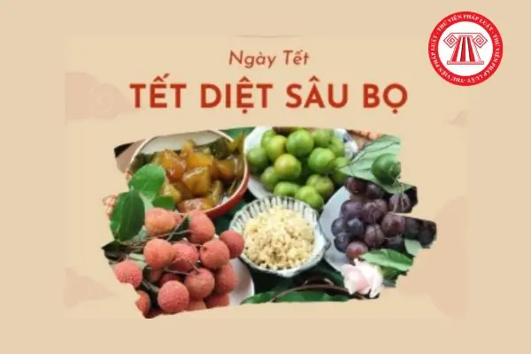 Mọi Người Thường Làm Gì Vào Ngày Tết: Toàn Cảnh Sắc Thái Xuân 2026 Và Những Giá Trị Truyền Thống Bền Vững