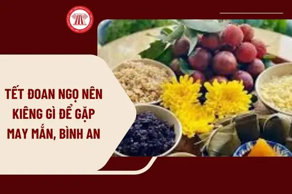 Mọi Người Thường Làm Gì Vào Ngày Tết: Toàn Cảnh Sắc Thái Xuân 2026 Và Những Giá Trị Truyền Thống Bền Vững