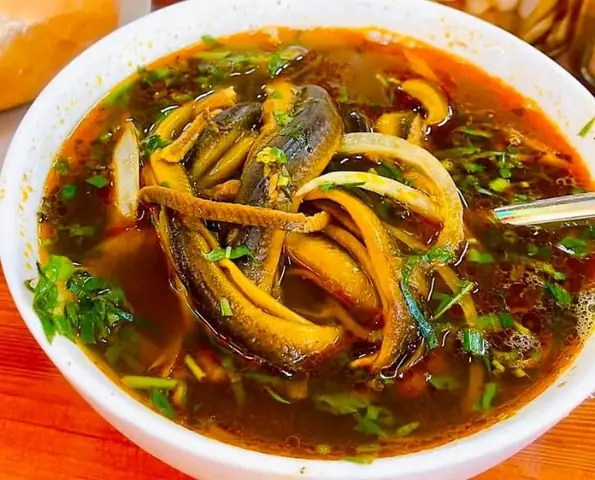 Top 10+ Món Ăn Chế Biến Từ Lươn Ngon Nhất Năm 2026: Bí Quyết Chọn Mua & Xử Lý Chuẩn Vị Quán