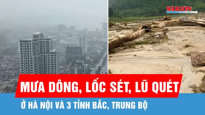 Mua Hà Đỏ Ở Sài Gòn 2026: Hướng Dẫn Chi Tiết Địa Chỉ Uy Tín, Cách Chọn Mua Tránh Hàng Giả, Bảng Giá Tham Khảo Mới Nhất