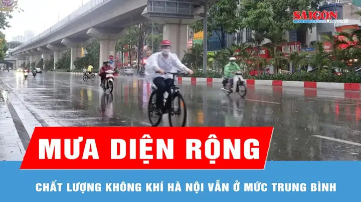 Mua Hà Đỏ Ở Sài Gòn 2026: Hướng Dẫn Chi Tiết Địa Chỉ Uy Tín, Cách Chọn Mua Tránh Hàng Giả, Bảng Giá Tham Khảo Mới Nhất