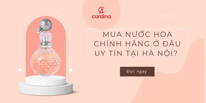 Top 15+ Nơi Mua Hoa Ở Đâu Hà Nội 2026: Uy Tín, Đẹp, Giá Tốt – Review Chi Tiết Cho Người Mới Top 15+ Nơi Mua Hoa Ở Đâu Hà Nội 2026: Uy Tín, Đẹp, Giá Tốt – Review Chi Tiết Cho Người Mới