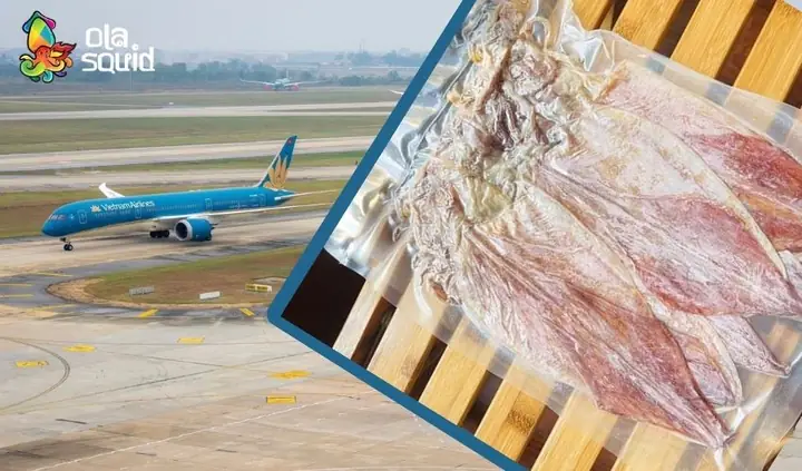 Mực Khô Có Được Mang Lên Máy Bay Không? Quy Định Chi Tiết, Kinh Nghiệm Đóng Gói Và Lưu Ý Mới Nhất Năm 2026