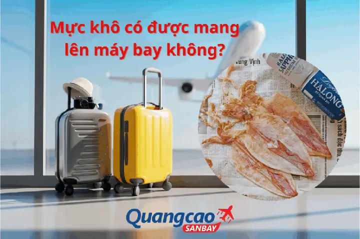 Mực Khô Có Được Mang Lên Máy Bay Không? Quy Định Chi Tiết, Kinh Nghiệm Đóng Gói Và Lưu Ý Mới Nhất Năm 2026