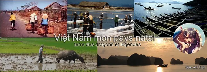 Bảo Tàng Phụ Nữ Việt Nam: Hành Trình 35 Năm Gìn Giữ Di Sản, Khẳng Định Giá Trị "người Giữ Lửa" Trong Thời Đại Mới 2026