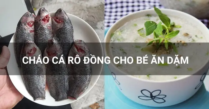 Nấu Cháo Cá Rô Đồng Với Rau Gì Cho Bé: Top 10 Loại Rau Cực Tốt, Công Thức Chuẩn Và Bí Quyết Ăn Ngon, Dinh Dưỡng Năm 2026