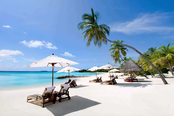 Top 10+ Nhà Hàng Bãi Dài Nha Trang 2026: Địa Điểm Ăn Ngon, View Biển Đẹp, Check-in "sống Ảo" Không Thể Bỏ Lỡ