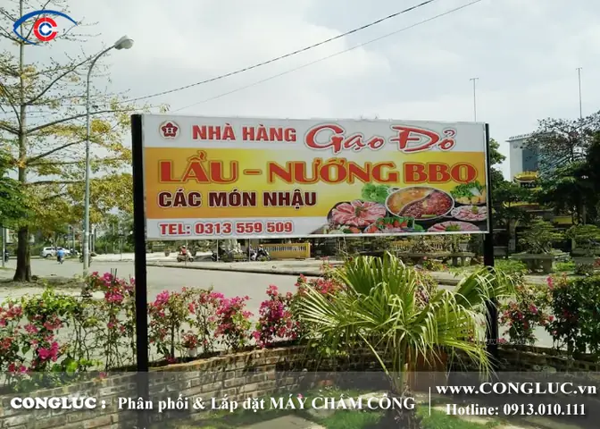 Top 5 Nhà Hàng Gạo Đỏ Hải Phòng Ngon, Sạch, Giá Tốt Nhất Năm 2026 – Review Chi Tiết & Kinh Nghiệm Ăn Ngon