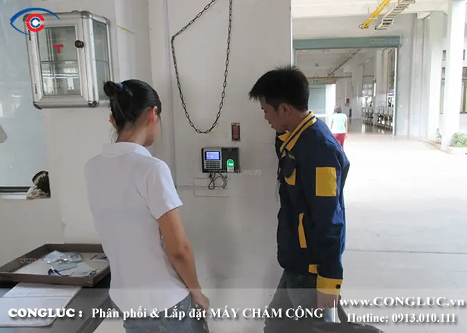 Top 5 Nhà Hàng Gạo Đỏ Hải Phòng Ngon, Sạch, Giá Tốt Nhất Năm 2026 – Review Chi Tiết & Kinh Nghiệm Ăn Ngon