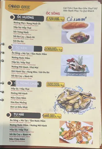 Nhà Hàng Hải Sản Gold One 2: Địa Chỉ "thần Thánh" Cho Thực Khách Sành Ăn Năm 2026 – Review Chi Tiết Menu, Giá Cả, Không Gian & Trải Nghiệm Thực Tế Nhà Hàng Hải Sản Gold One 2: Địa Chỉ "thần Thánh" Cho Thực Khách Sành Ăn Năm 2026 – Review Chi Tiết Menu, Giá Cả, Không Gian & Trải Nghiệm Thực Tế