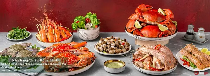 Nhà Hàng Thiên Hồng Phát Hải Phòng: Địa Chỉ Ăn Hải Sản Tươi Sống, Nấu Ăn Kiểu Nhà Chuẩn Vị Biển 2026
