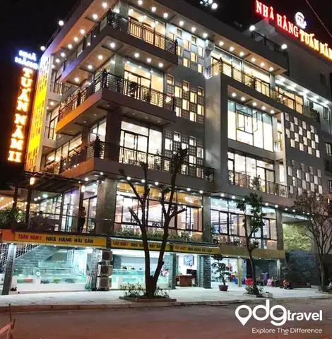 Nhà Hàng Tuấn Nam Sầm Sơn 2026: Địa Chỉ Ăn Hải Sản Tươi Sống, Giá Hạt Dẻ, View Biển "chữa Hỏa" Cực Đã