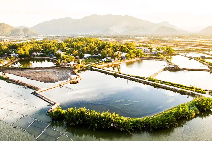 Nha Trang Có Mùa Đông Không? Khám Phá Thực Tế Khí Hậu Và Bí Quyết Du Lịch "chuẩn Không Cần Chỉnh" Năm 2026
