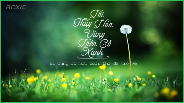 Nhạc Phim "tôi Thấy Hoa Vàng Trên Cỏ Xanh" Lyrics: Toàn Bộ Lời Bài Hát, Phân Tích Nội Dung Và Giá Trị Nghệ Thuật Cập Nhật 2026