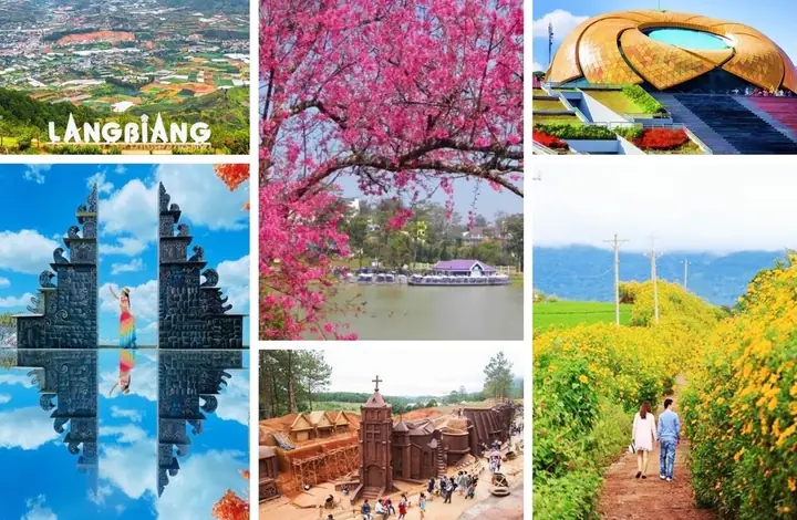 Top Những Địa Điểm Hot Nhất Ở Đà Lạt Năm 2026: Hướng Dẫn Du Lịch Chi Tiết Cho Hành Trình "chữa Lành" Hoàn Hảo