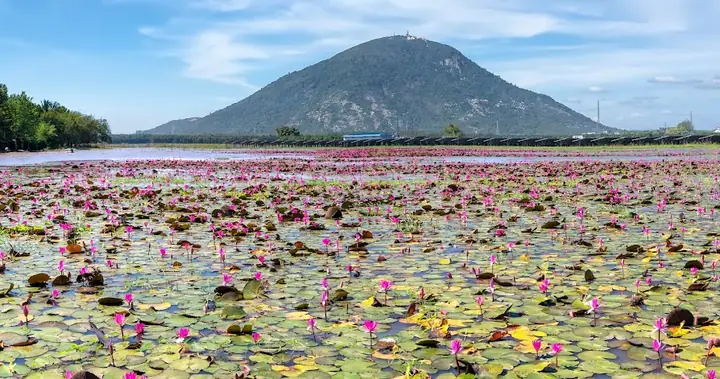Núi Bà Đen Tây Ninh: Địa Chỉ Chi Tiết, Hướng Dẫn Đi Lại Và Trải Nghiệm Toàn Diện Nhất Năm 2026