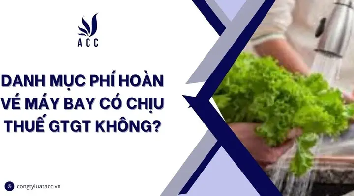 Phí Hoàn Vé Máy Bay Có Chịu Thuế GTGT Không? Phân Tích Chi Tiết Theo Luật Mới Nhất 2026