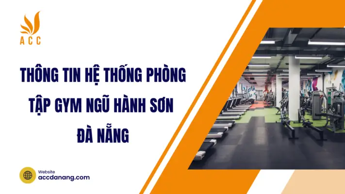 Top Phòng Tập Gym Ngũ Hành Sơn Đà Nẵng 2026: Review Chi Tiết, Giá Cả & Kinh Nghiệm Chọn "nhà Thứ Hai" Chuẩn Không Cần Chỉnh