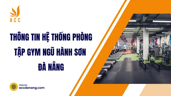 Top Phòng Tập Gym Ngũ Hành Sơn Đà Nẵng 2026: Review Chi Tiết, Giá Cả & Kinh Nghiệm Chọn "nhà Thứ Hai" Chuẩn Không Cần Chỉnh