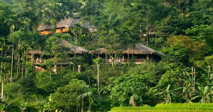 Pu Luong Retreat Thành Lâm Bá Thước Thanh Hóa: Thiên Đường Mây Sương & Nghỉ Dưỡng Cao Cấp Đỉnh Cao Năm 2026