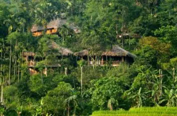 Pu Luong Retreat Thành Lâm Bá Thước Thanh Hóa: Thiên Đường Mây Sương & Nghỉ Dưỡng Cao Cấp Đỉnh Cao Năm 2026