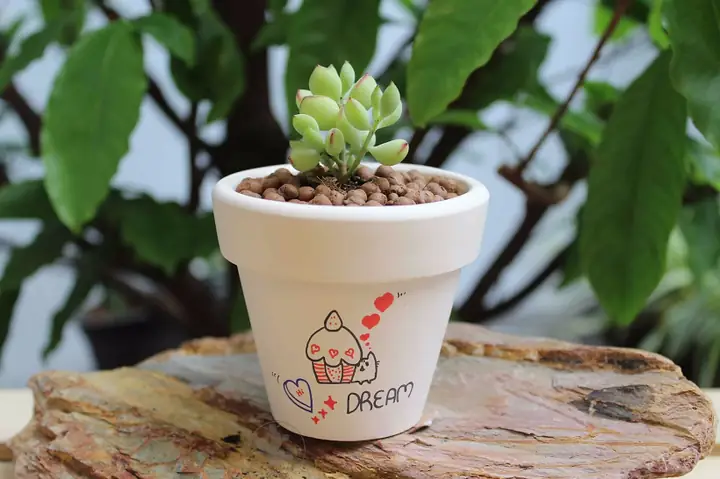Top Quà Sinh Nhật Cho Nữ Dưới 50k Năm 2026: Gợi Ý Ý Nghĩa, Thực Dụng Và "chạm" Tim Không Cần Tốn Kém Top Quà Sinh Nhật Cho Nữ Dưới 50k Năm 2026: Gợi Ý Ý Nghĩa, Thực Dụng Và "chạm" Tim Không Cần Tốn Kém