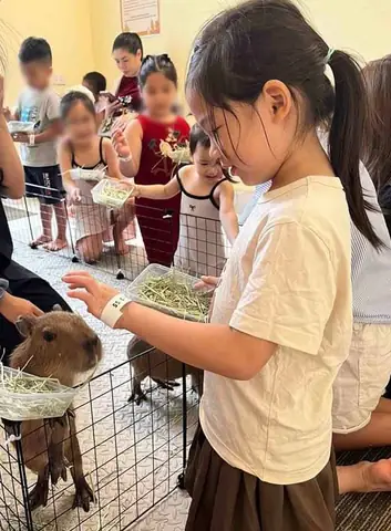 Top Quán Cà Phê Chó Hà Nội 2026: Địa Chỉ "chữa Lành" Tâm Hồn, Review Chi Tiết Giá - Menu - Không Gian Mới Nhất