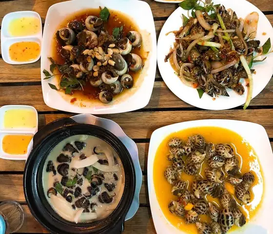 Top 15+ Quán Ốc Ngon Tại Đà Nẵng Năm 2026: Địa Chỉ "chuẩn Vị" Biển, Giá Hời, Không Gian Mát - Review Chi Tiết Nhất Top 15+ Quán Ốc Ngon Tại Đà Nẵng Năm 2026: Địa Chỉ "chuẩn Vị" Biển, Giá Hời, Không Gian Mát - Review Chi Tiết Nhất