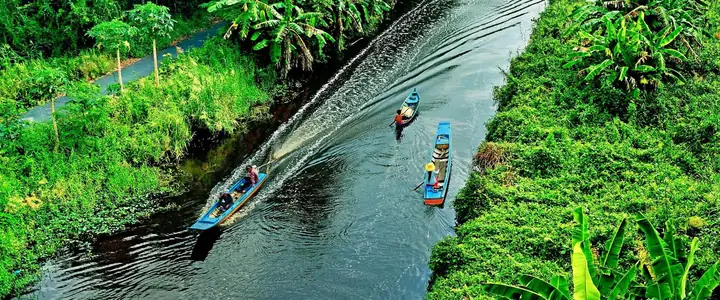 Rừng U Minh Thuộc Tỉnh Nào? Khám Phá Vẻ Đẹp Hoang Sơ, Hệ Sinh Thái Đặc Biệt Của "lá Phổi Xanh" Miền Tây Năm 2026