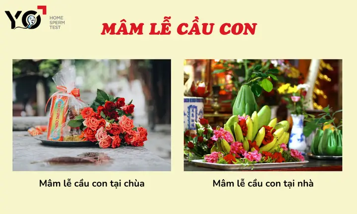 Sắm Lễ Cầu Con Năm 2026 Cần Những Gì? Danh Sách Chi Tiết, Ý Nghĩa Và Lưu Ý Quan Trọng Để Lễ Vẹn Mặn