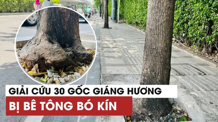 Sân Bay Gần An Giang Nhất Năm 2026: So Sánh Chi Tiết, Hướng Dẫn Di Chuyển Và Mẹo Mua Vé Máy Bay Tiết Kiệm Nhất