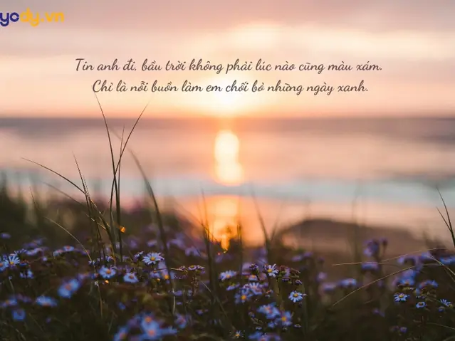Top 100+ STT Hay Về Bầu Trời Nắng 2026: Caption "chill" Cực Đã, Gieo Nắng Vào Tim Người Đọc Top 100+ STT Hay Về Bầu Trời Nắng 2026: Caption "chill" Cực Đã, Gieo Nắng Vào Tim Người Đọc