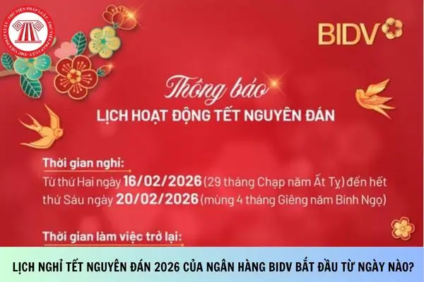 Tết Nguyên Đán 2026 Bắt Đầu Từ Ngày Nào? Lịch Nghỉ Tết Chi Tiết, Ý Nghĩa Và Những Điều Cần Biết Để Đón Năm Mới Trọn Vẹn