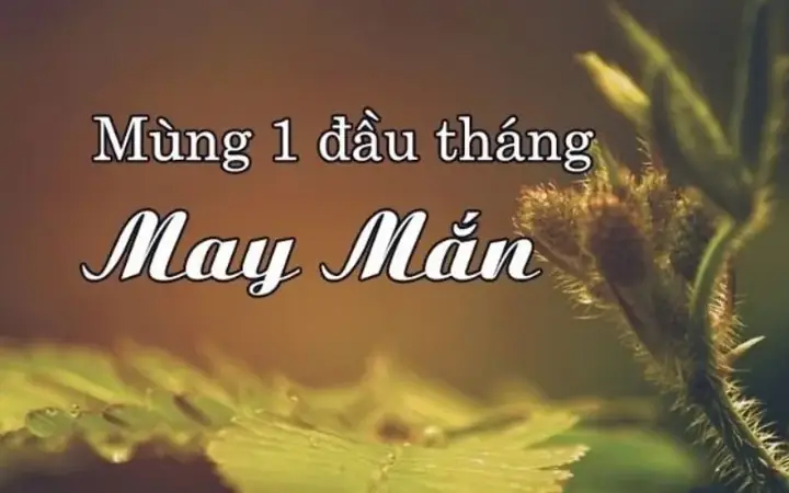 Thơ Về Mùng 1 Đầu Tháng: Những Câu Chuyện Nghìn Lẻ Một Đêm Của Sự Khởi Đầu Mới – Tổng Hợp Hay Nhất 2026