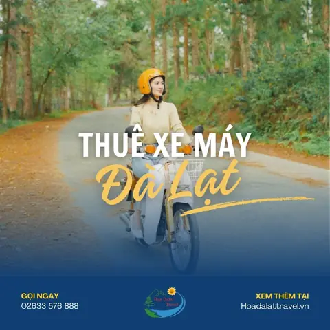 Thuê Xe Máy Gần Chợ Đà Lạt 2026: Bảng Giá Mới Nhất, Top 5 Địa Chỉ Uy Tín & Bí Quyết Tránh "bị Chặt Chém"