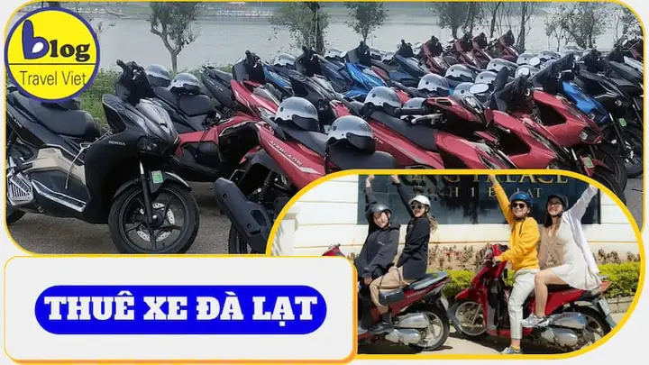 Thuê Xe Máy Gần Chợ Đà Lạt 2026: Bảng Giá Mới Nhất, Top 5 Địa Chỉ Uy Tín & Bí Quyết Tránh "bị Chặt Chém"
