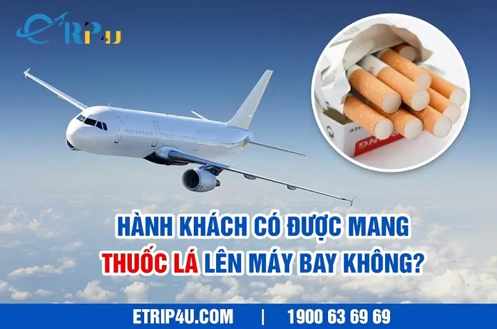 Hướng Dẫn Chi Tiết Quy Định Mang Thuốc Lên Máy Bay Năm 2026: Những Gì Bạn Cần Biết Để Tránh Rắc Rối