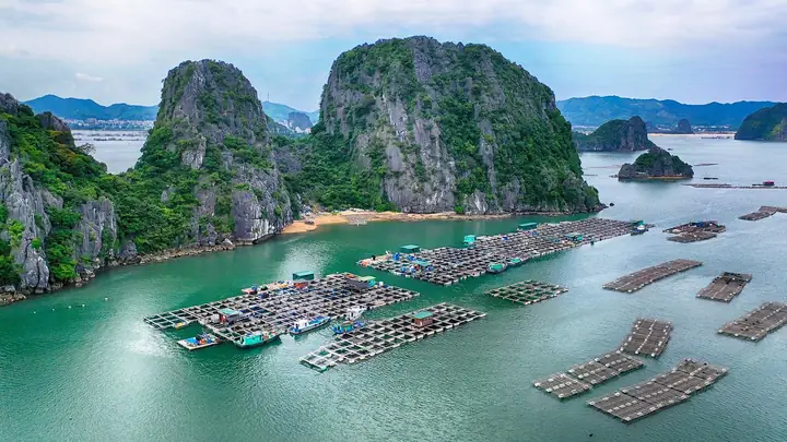 Thương Cảng Vân Đồn Ở Đâu? Tổng Hợp Thông Tin Chi Tiết, Vị Trí Địa Lý, Quy Mô & Tiềm Năng Phát Triển Năm 2026