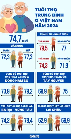 Tỉnh Nào Cao Nhất Việt Nam? Top 10 Tỉnh Có Độ Cao Trung Bình Lớn Nhất Năm 2026