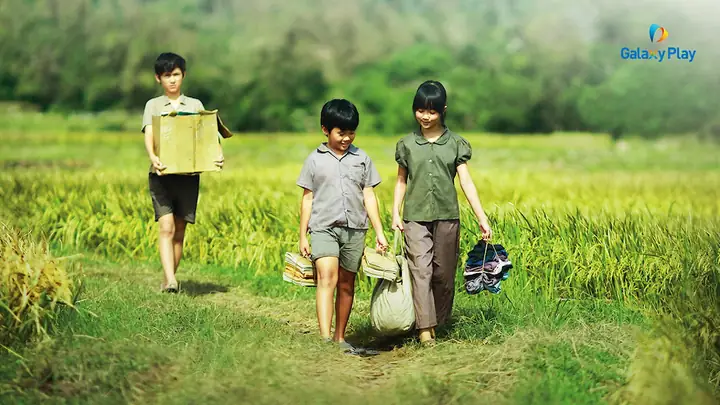 Tôi Thấy Hoa Vàng Trên Cỏ Xanh Full Movie: Hành Trình Tìm Kiếm Bản Phim Gốc, Review Chi Tiết Và Ý Nghĩa Văn Hóa Năm 2026