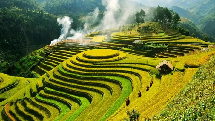 Top 10 Trải Nghiệm Không Thể Bỏ Lỡ Khi Du Lịch Việt Nam Năm 2026: Hành Trình Khám Phá Đất Nước Hình Rồng